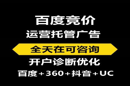 案例研究：SEM代运营服务公司的创新策略